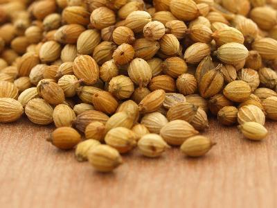 Coriander